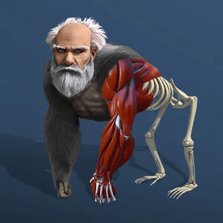 Idle Evolution From Cell to Human