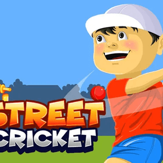 Street Cricket