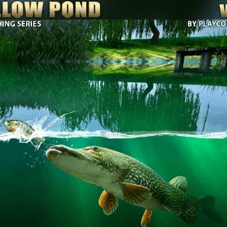 Willow Pond Fishing